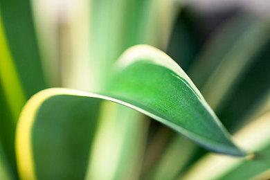 《真女神转生5：复仇》新系统情报公开 6月21日发售